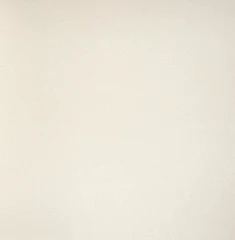 Керамогранит Грани Таганая GT202MR 60*60 кристально-молочный