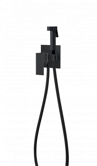 Гигиенический душ со смесителем Bayern Liszt DA1514505 скрытый монтаж черный матовый