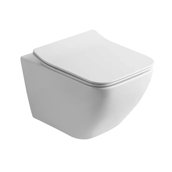 Подвесной унитаз Olive’s Artis AR30116DP 36*53 безободковый с крышкой-сиденьем микролифт