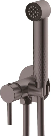 Смеситель Splenka с гигиеническим душем встраиваемый серый графит