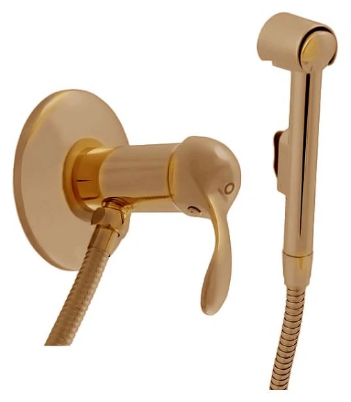 Гигиенический душ со смесителем Rav Slezak Labe L047/1Z скрытый монтаж глянцевое золото