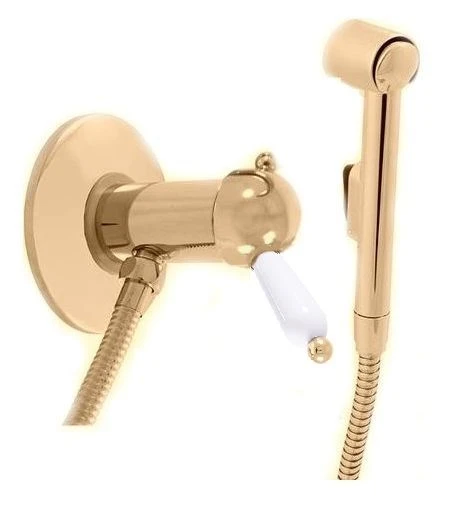 Гигиенический душ со смесителем Rav Slezak Labe L547/1Z скрытый монтаж глянцевое золото